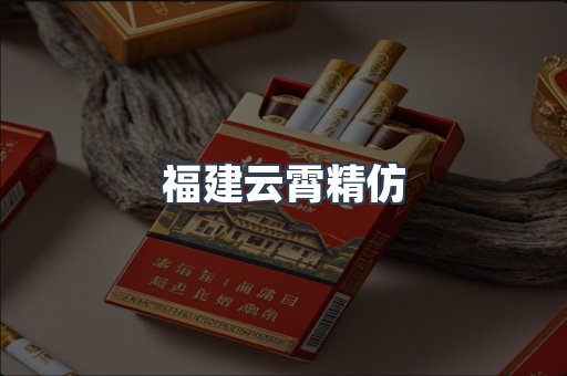 福建云霄精仿